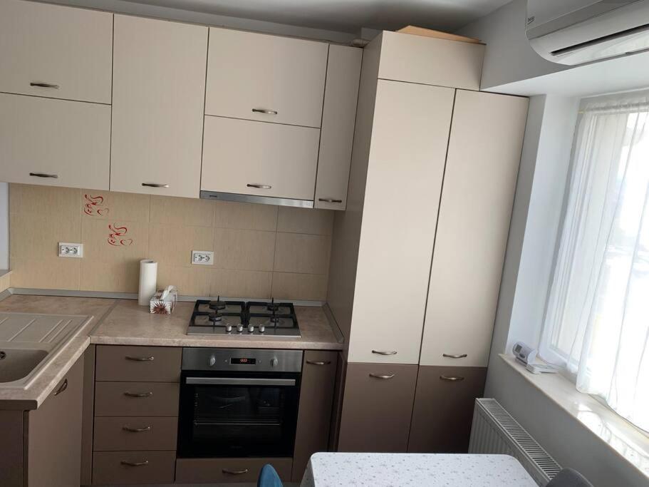 Lovely Bacau 1 Bedroom Apartment Dış mekan fotoğraf